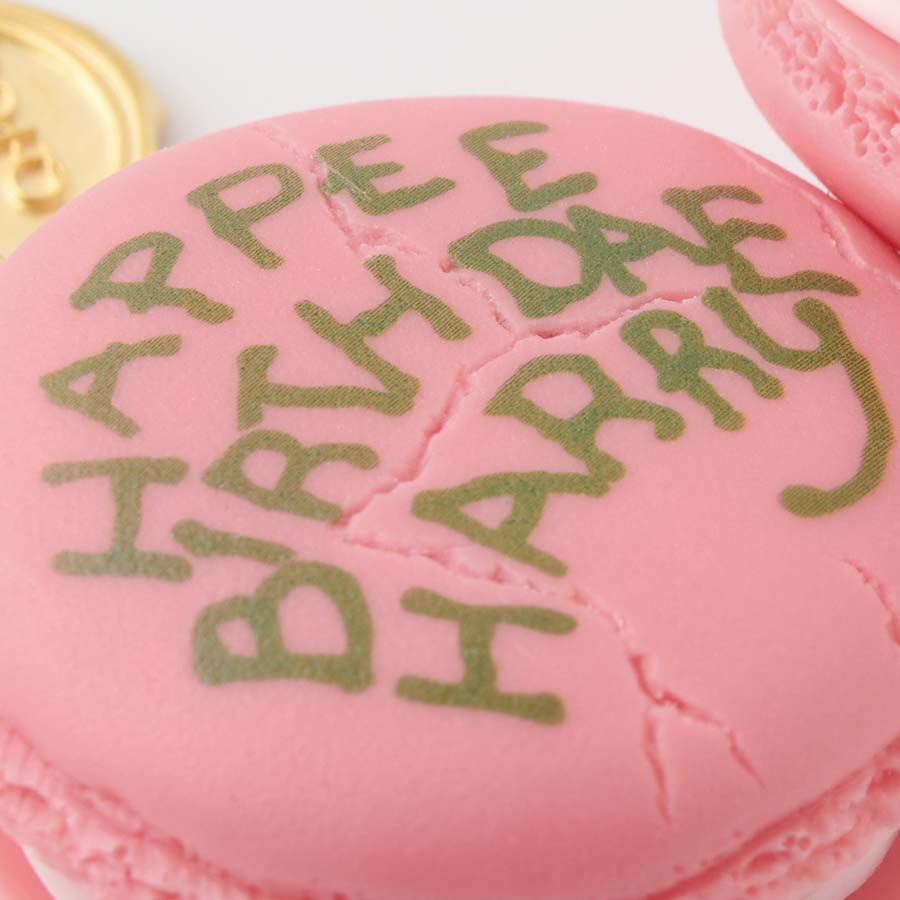 HAPPEE BIRTHDAE HARRY マカロン ネックレス【ハリーポッター
