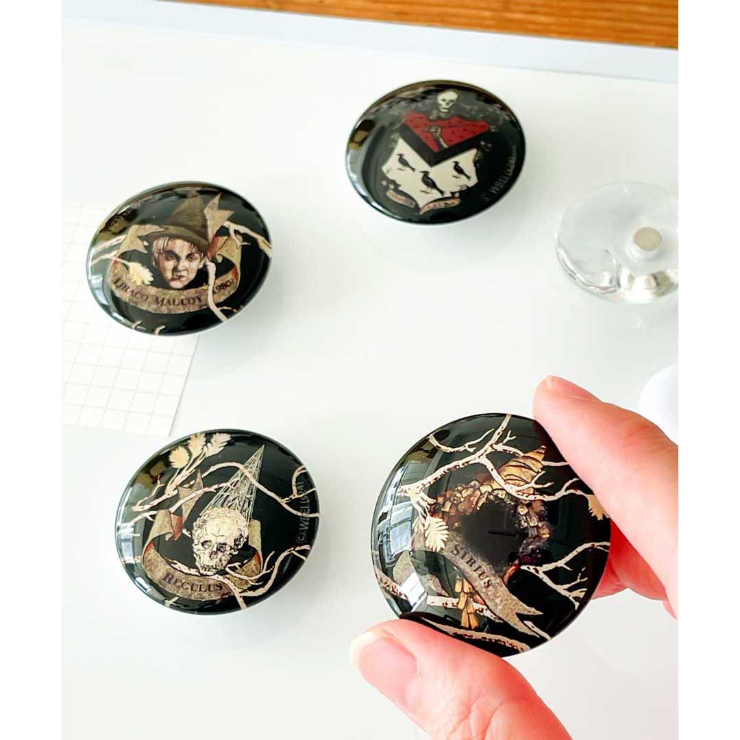 Harry Potter×Flapper ブラック家 家系図マグネットセット