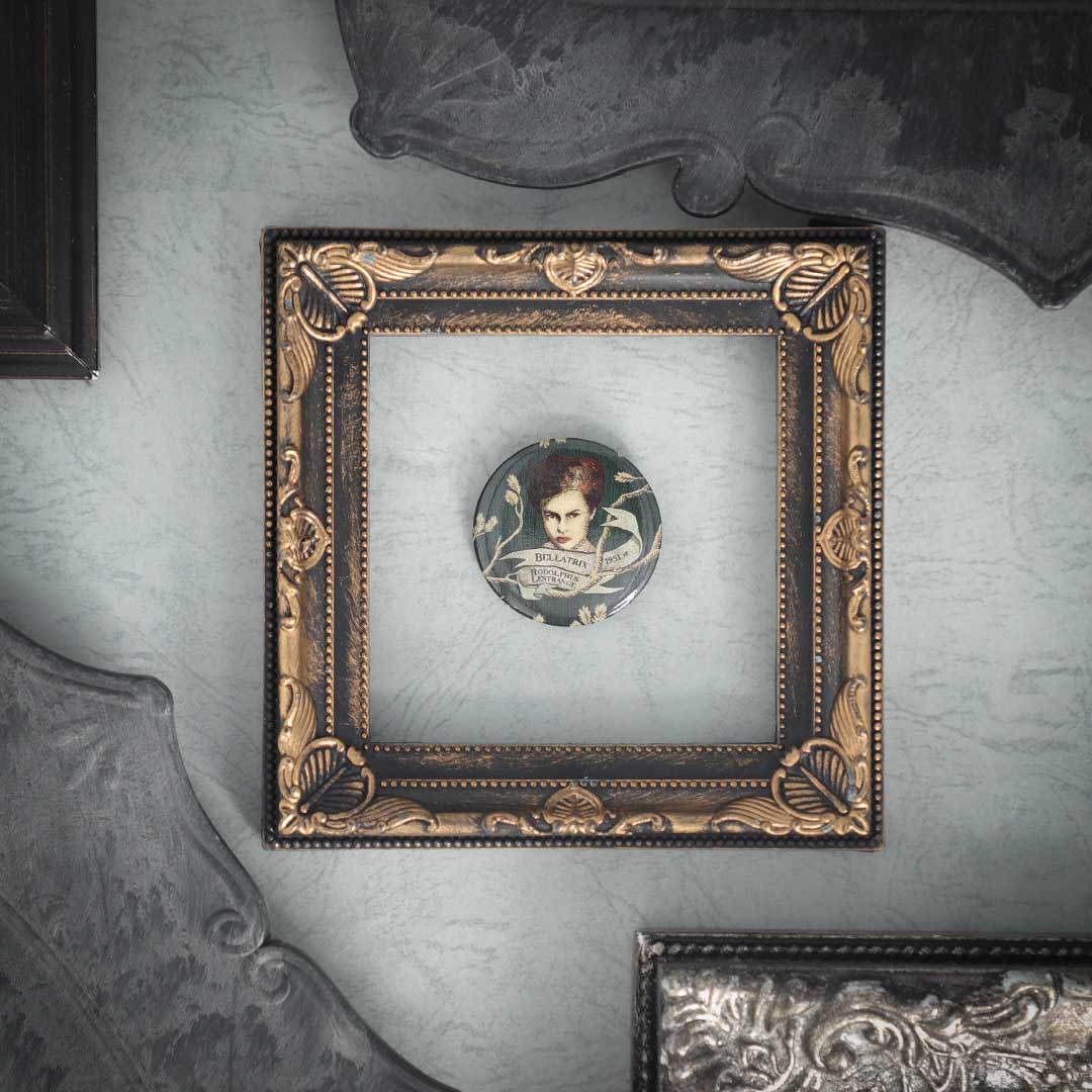 ブラック家の家系図-シリウス・ブラック 缶バッジ | ハリー・ポッター