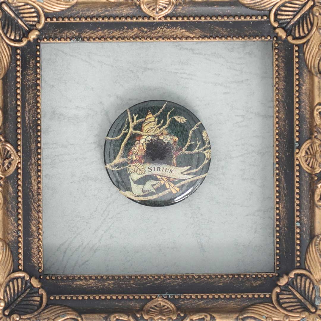 ブラック家の家系図-シリウス・ブラック 缶バッジ | ハリー・ポッター