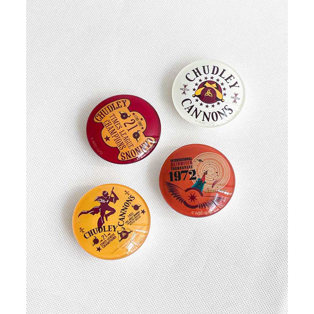 Harry Potter×Flapper チャドリーキャノンズポスター マグネットセット
