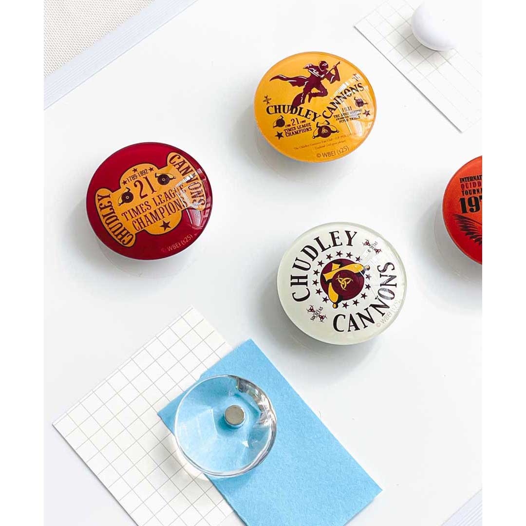 ハリーポッター HARRY POTTER Ultimate Year One Portrait Figure With Sculpted