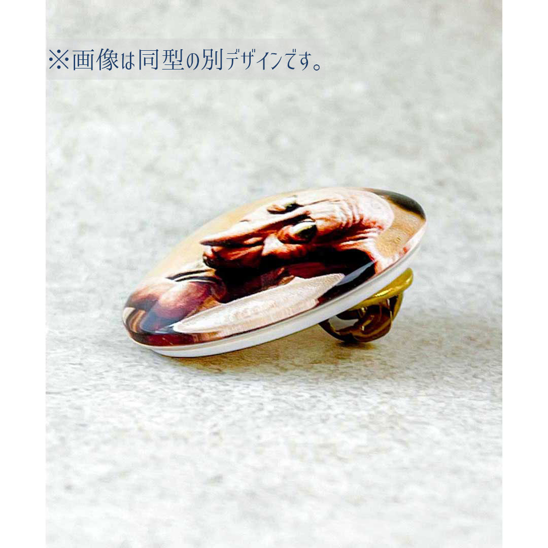 Harry Potter×Flapper フィルムアートガラスピンズ3 ドビー1 | ハリー