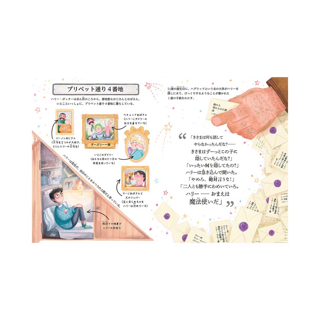 ハリー・ポッターシリーズ ポケット図鑑1 ハリー・ポッター | ハリー