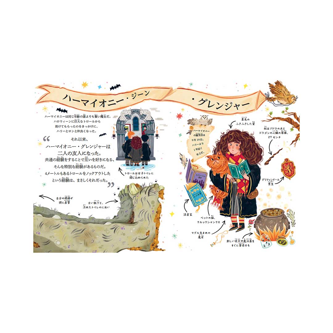 ハリー・ポッターシリーズ ポケット図鑑3ハーマイオニー・グレンジャー